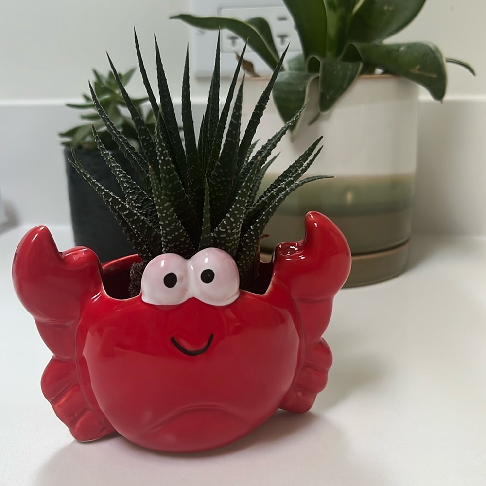 Red Crab Candle or Succulent Holder
